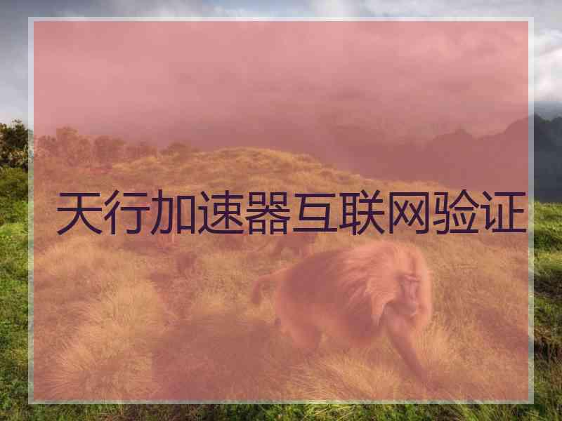 天行加速器互联网验证