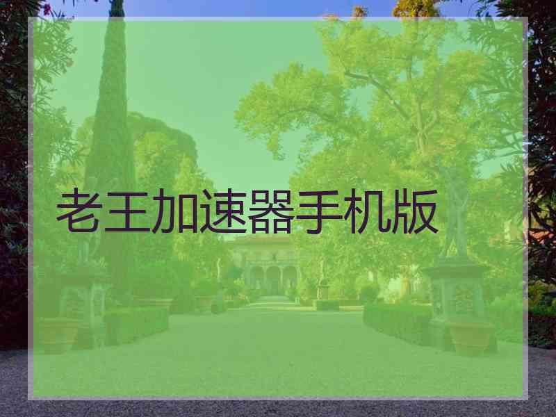 老王加速器手机版
