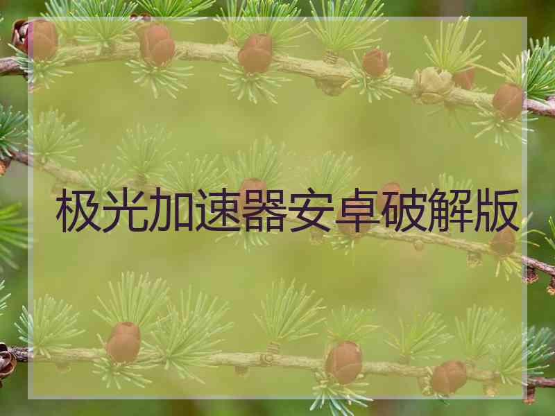 极光加速器安卓破解版