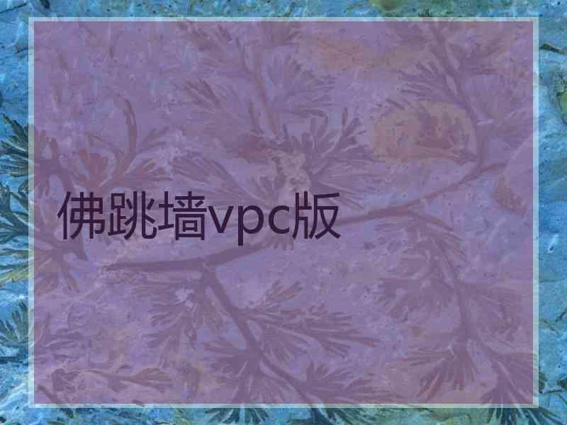 佛跳墙vpc版