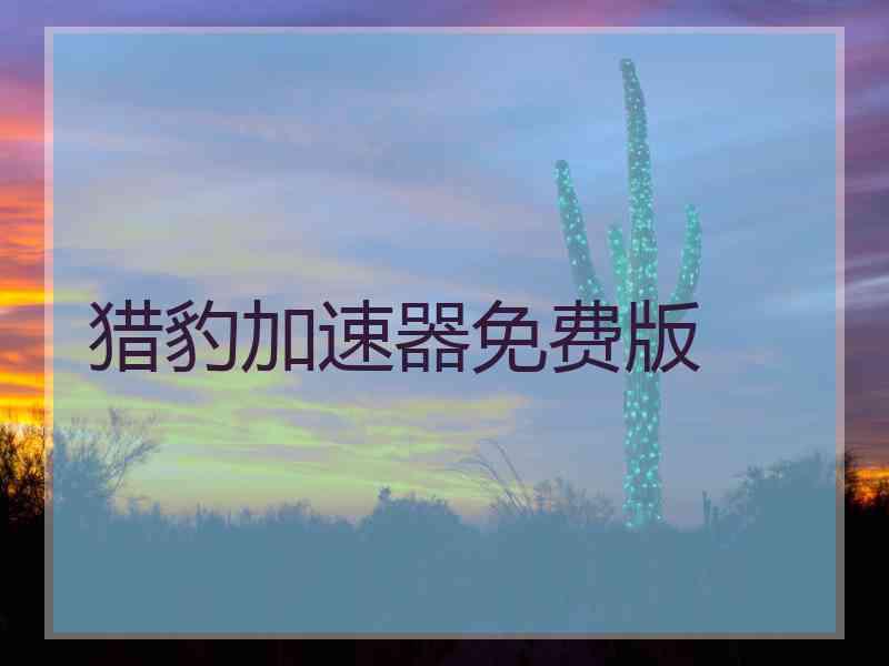 猎豹加速器免费版