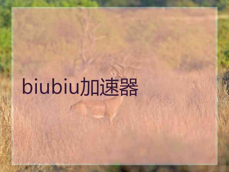 biubiu加速器