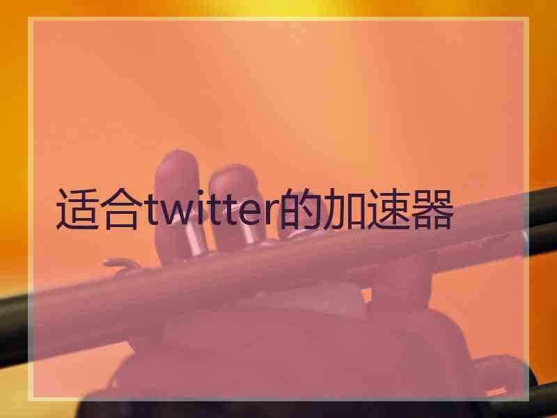 适合twitter的加速器
