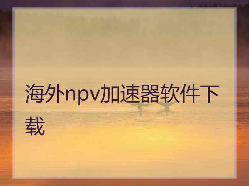 海外npv加速器软件下载