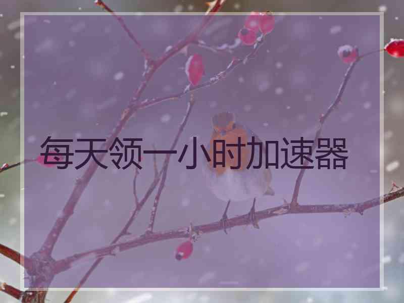 每天领一小时加速器