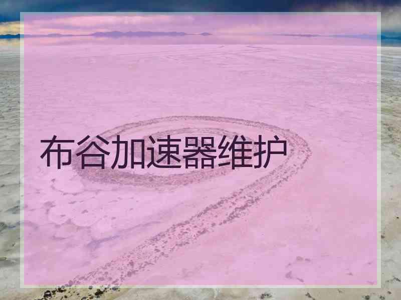 布谷加速器维护