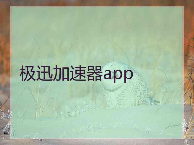 极迅加速器app