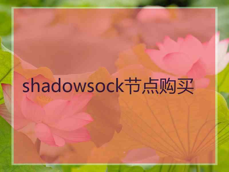 shadowsock节点购买