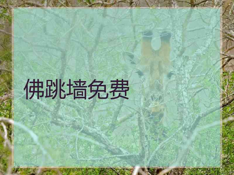佛跳墙免费