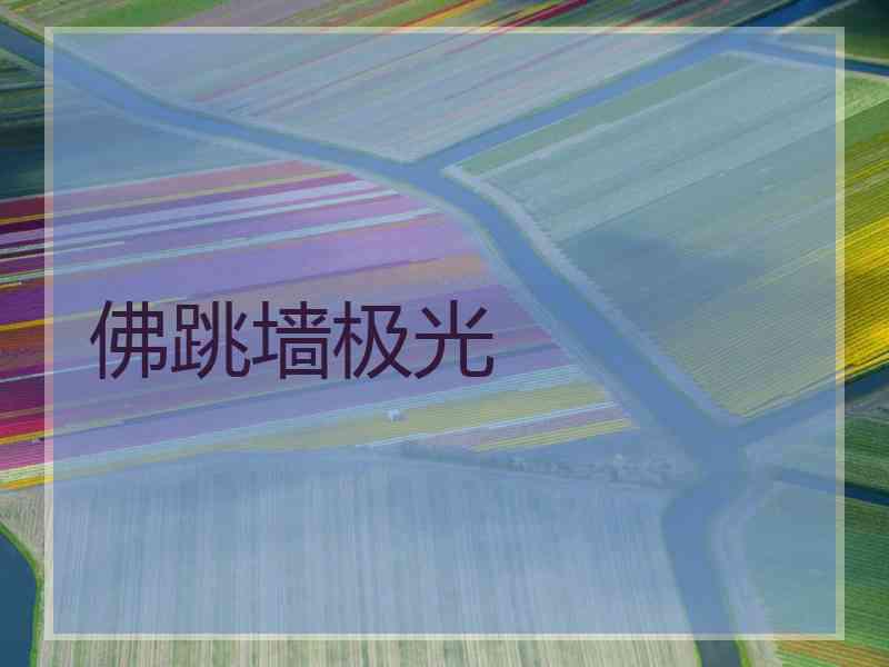佛跳墙极光