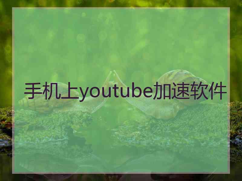 手机上youtube加速软件