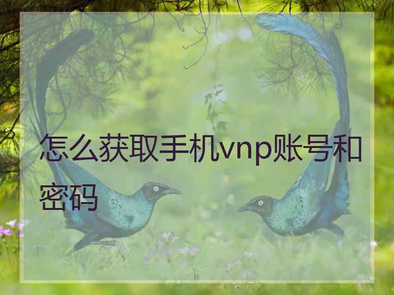 怎么获取手机vnp账号和密码