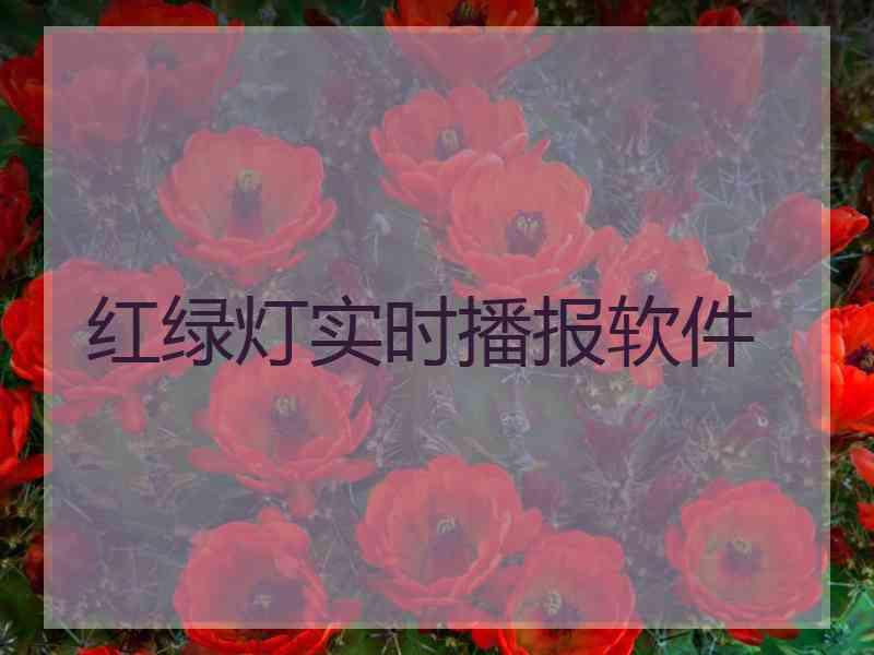 红绿灯实时播报软件