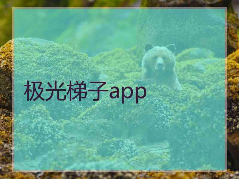 极光梯子app