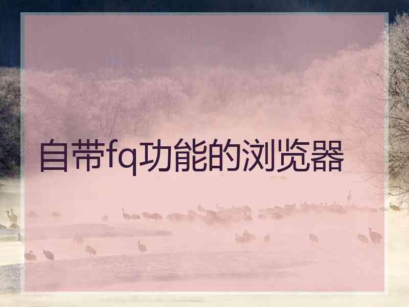 自带fq功能的浏览器