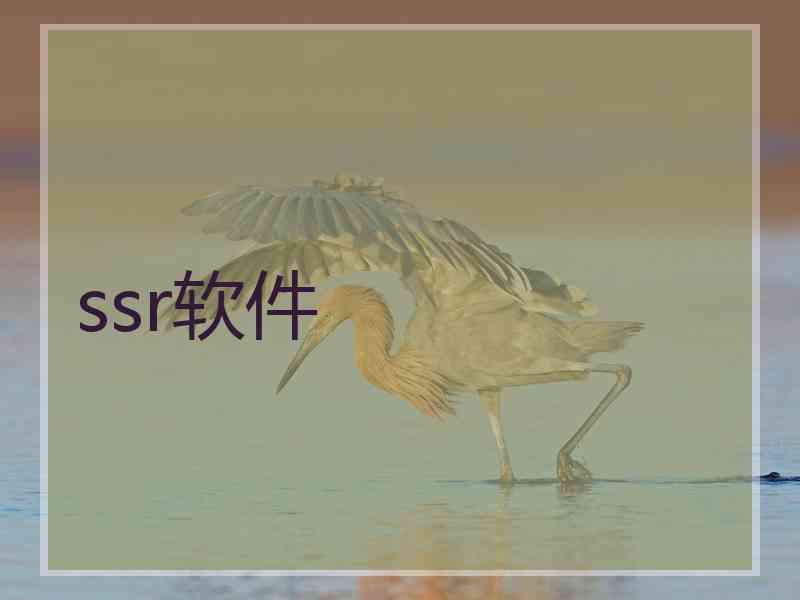 ssr软件