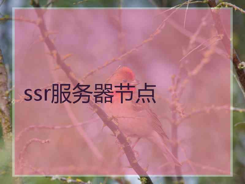 ssr服务器节点