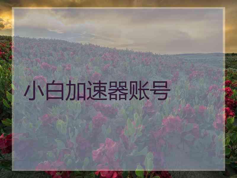 小白加速器账号