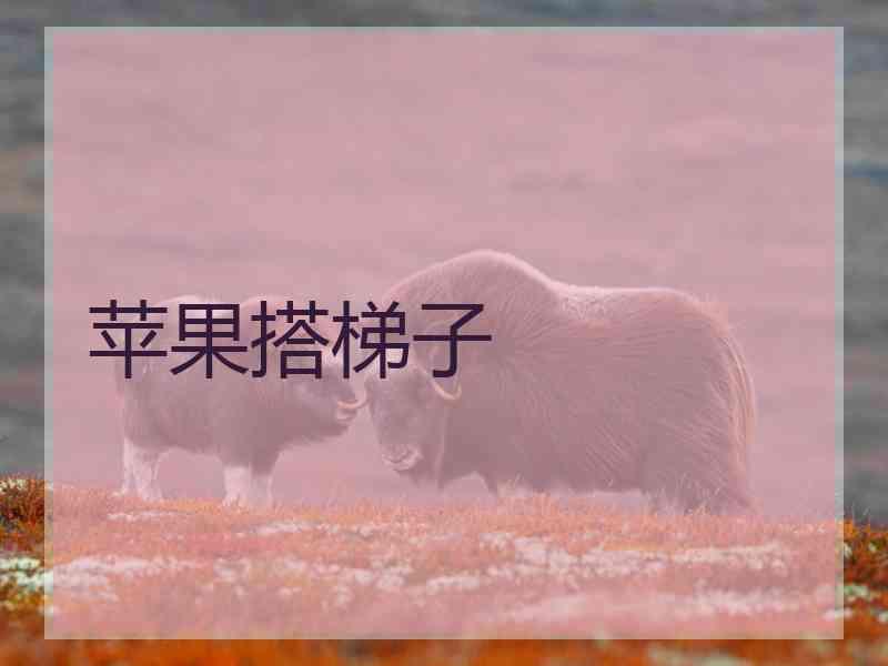 苹果搭梯子