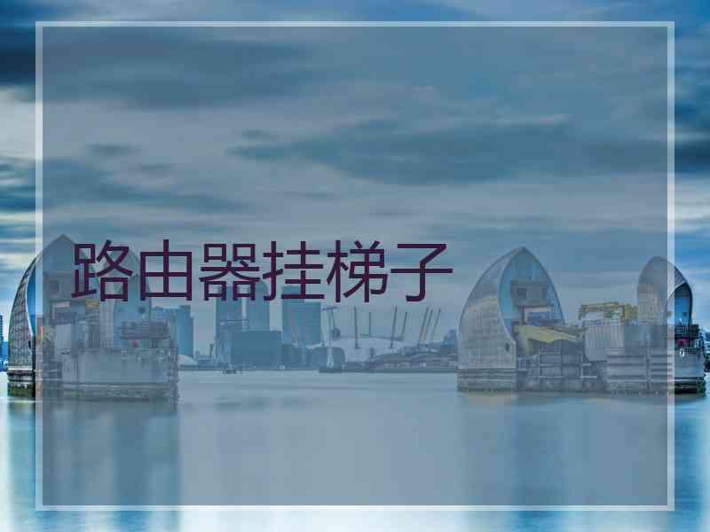路由器挂梯子