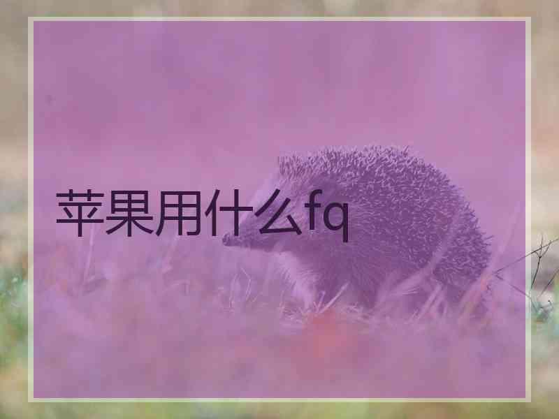 苹果用什么fq