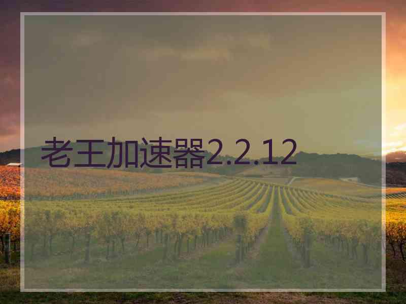 老王加速器2.2.12