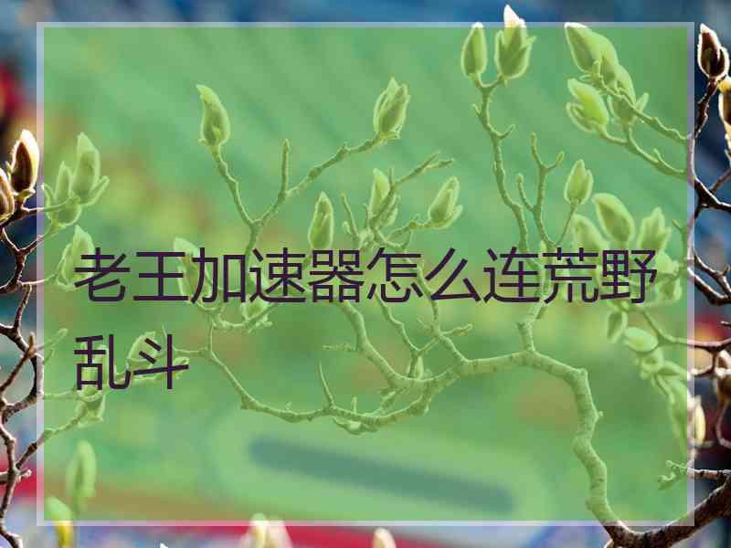 老王加速器怎么连荒野乱斗