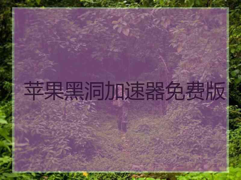 苹果黑洞加速器免费版