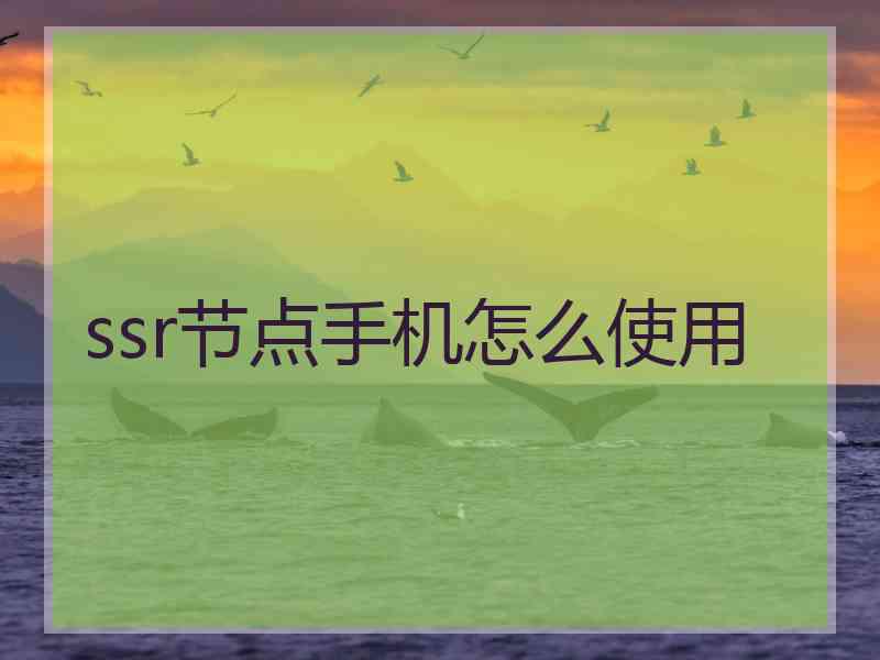 ssr节点手机怎么使用