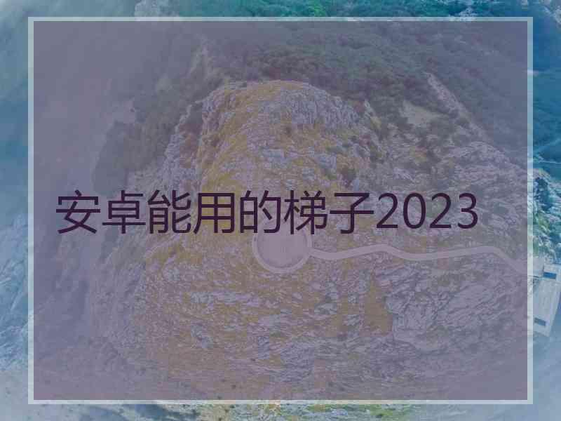 安卓能用的梯子2023