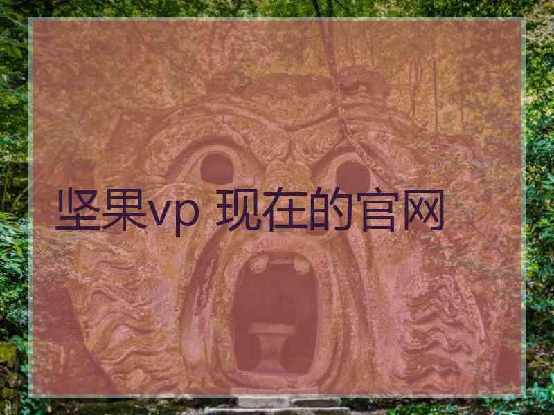 坚果vp 现在的官网