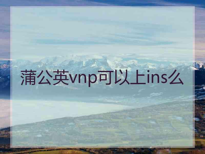 蒲公英vnp可以上ins么