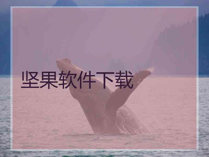 坚果软件下载