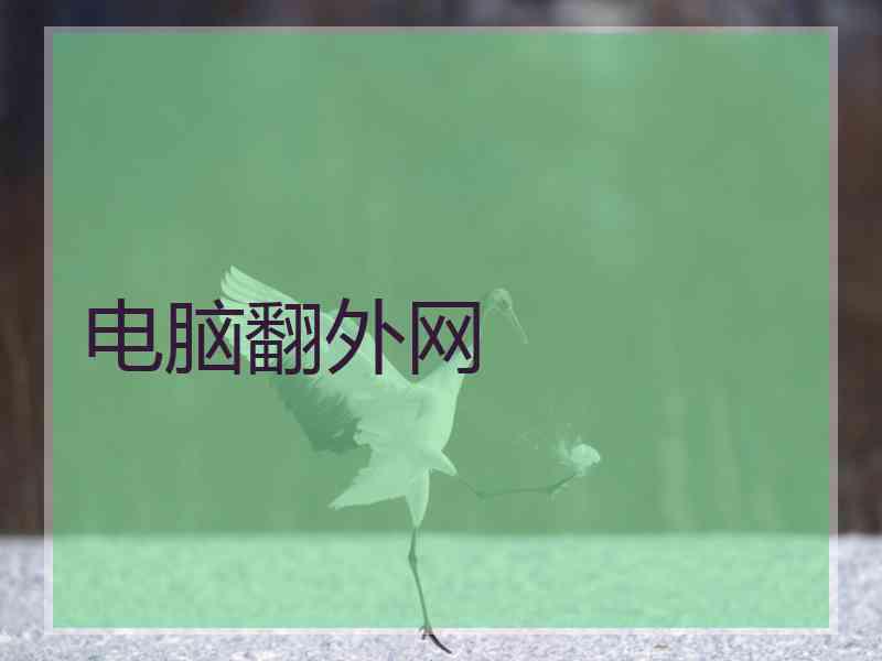 电脑翻外网