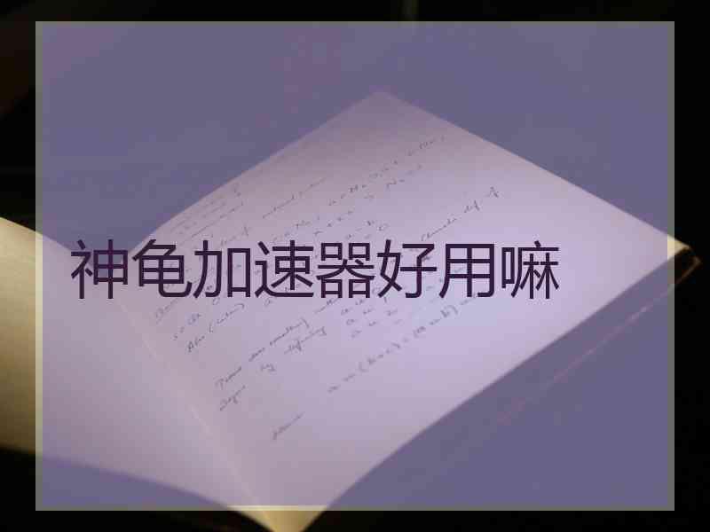 神龟加速器好用嘛