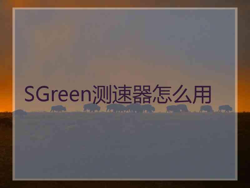 SGreen测速器怎么用