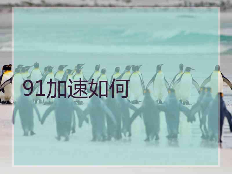 91加速如何