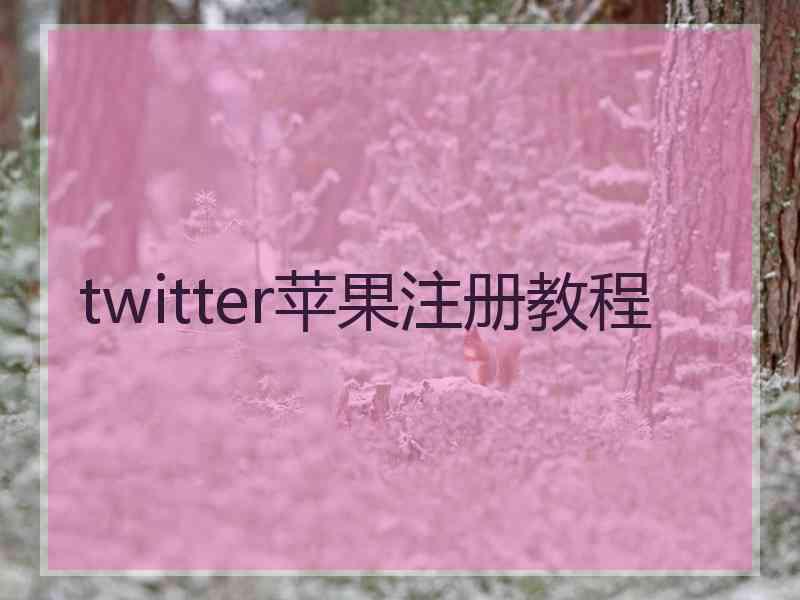 twitter苹果注册教程