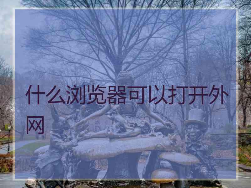 什么浏览器可以打开外网