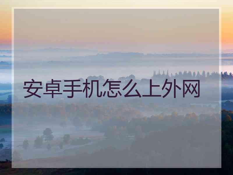 安卓手机怎么上外网