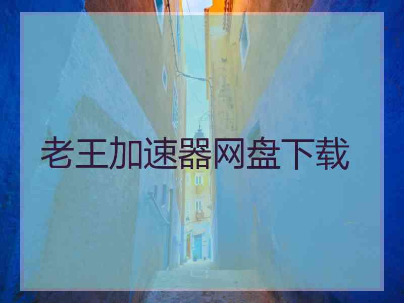 老王加速器网盘下载