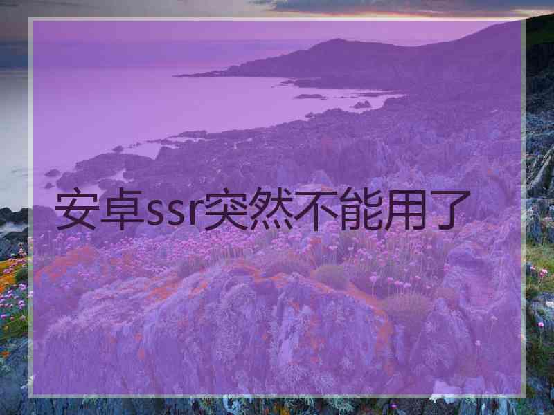 安卓ssr突然不能用了
