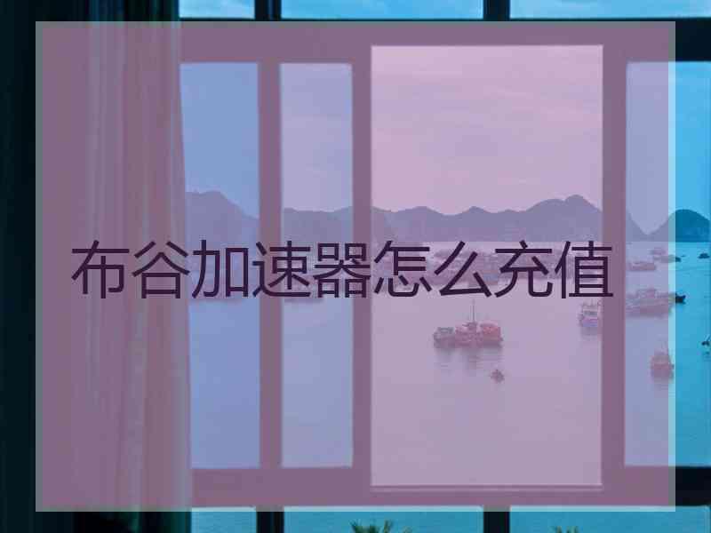 布谷加速器怎么充值