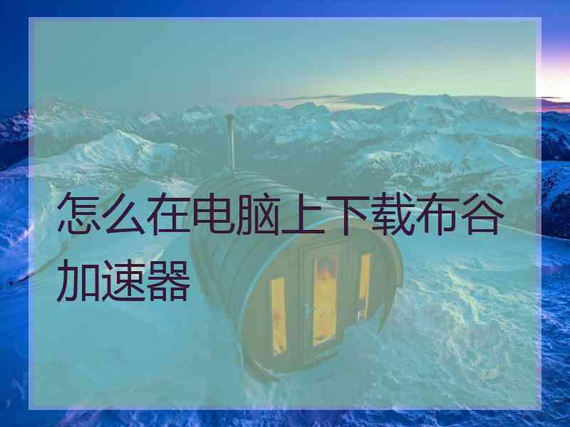怎么在电脑上下载布谷加速器