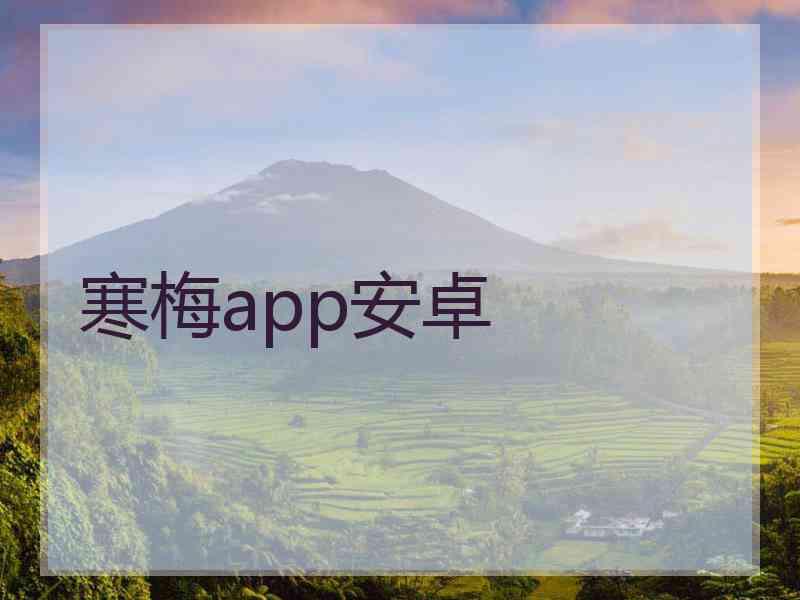 寒梅app安卓