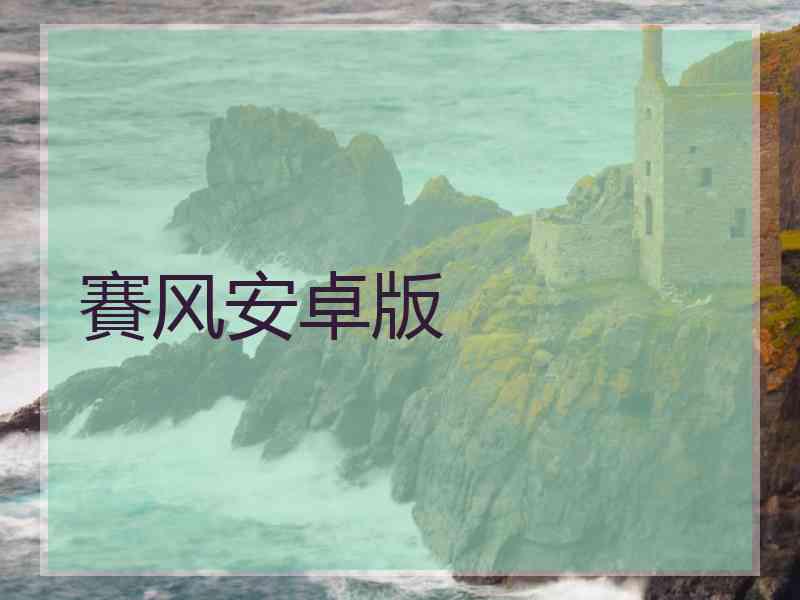 賽风安卓版