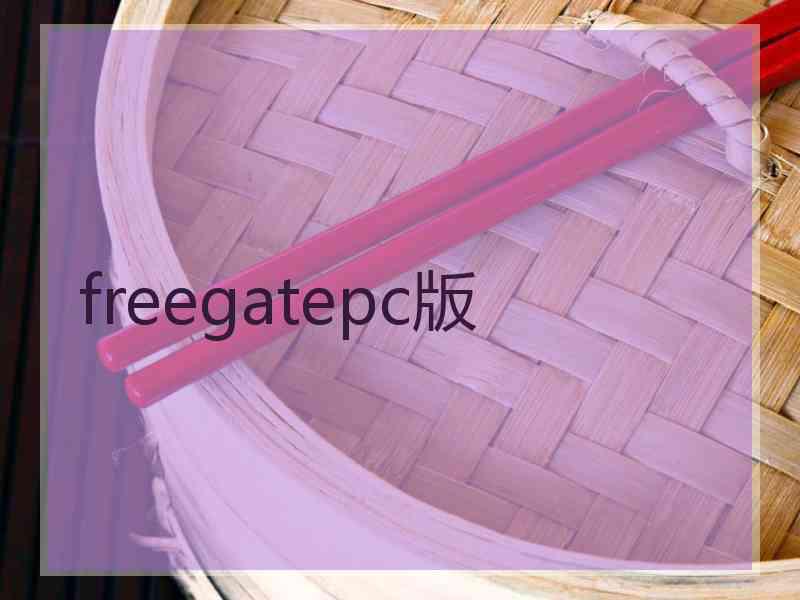 freegatepc版
