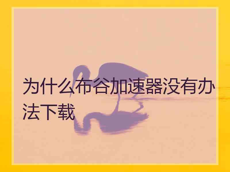 为什么布谷加速器没有办法下载