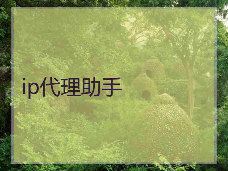 ip代理助手