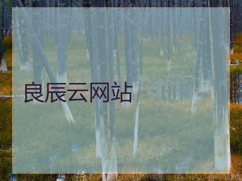 良辰云网站